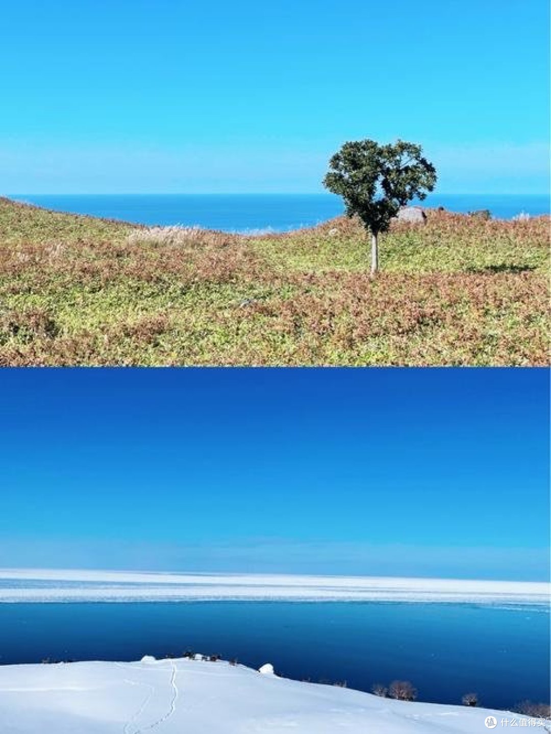 哪里可以找到适合篮球运动员的放松方法?_1